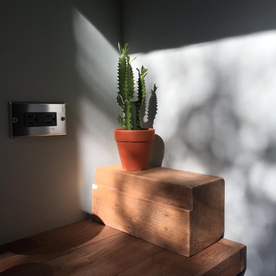 Miaoko Hostel Dahan Eksteriør bilde